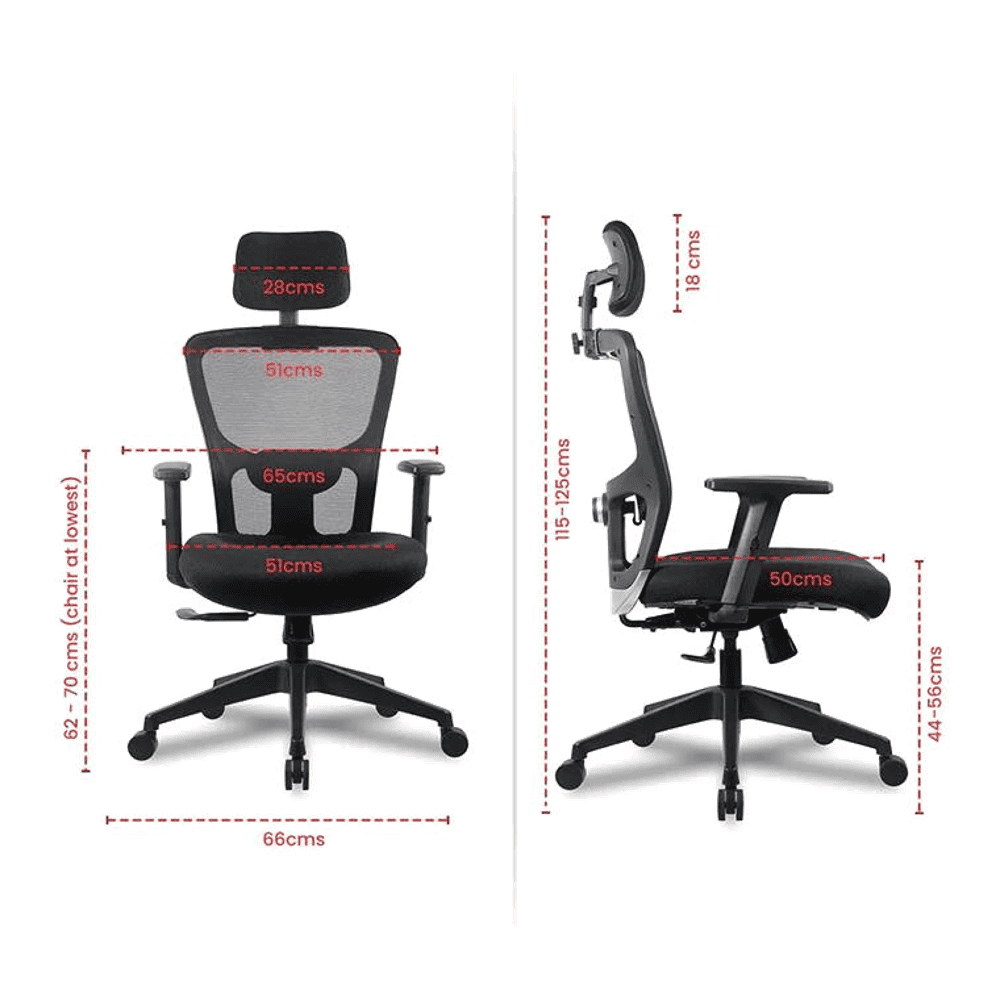 Ergonomic Net Swivel Study Chair in Black Colour