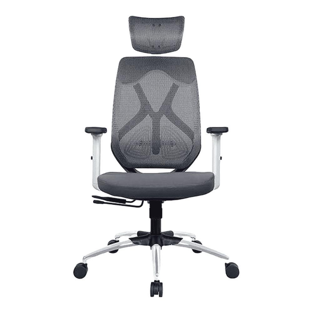 Raice Net Swivel Study Chair in Grey Colour