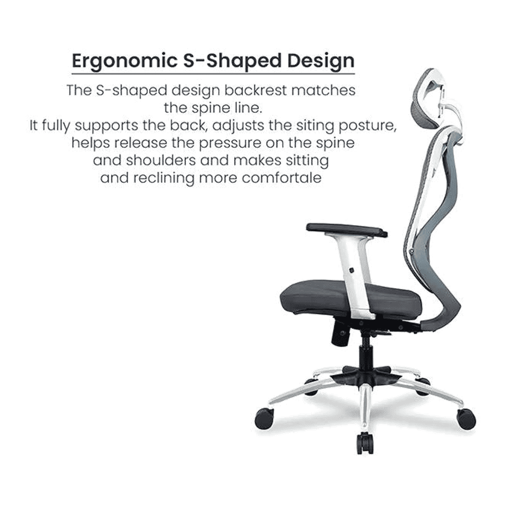 Raice Net Swivel Study Chair in Grey Colour