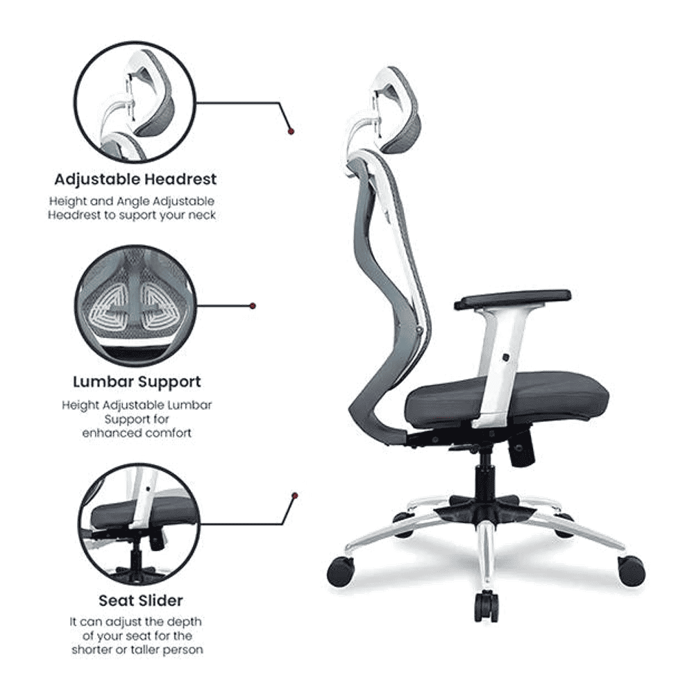 Raice Net Swivel Study Chair in Grey Colour