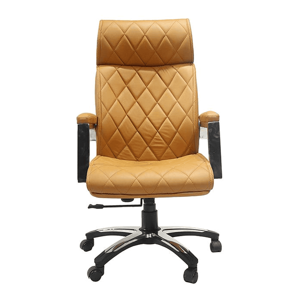 Emile Ergonomic chair