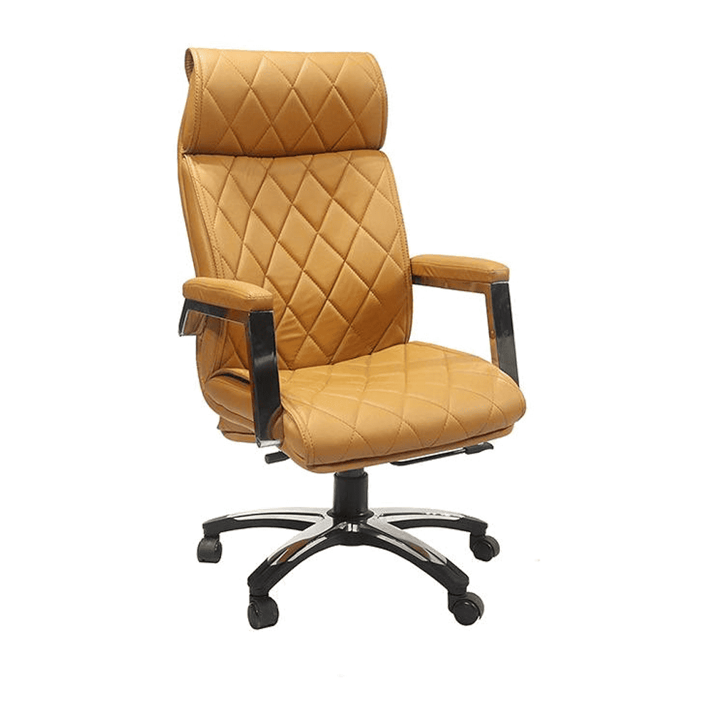 Emile Ergonomic chair
