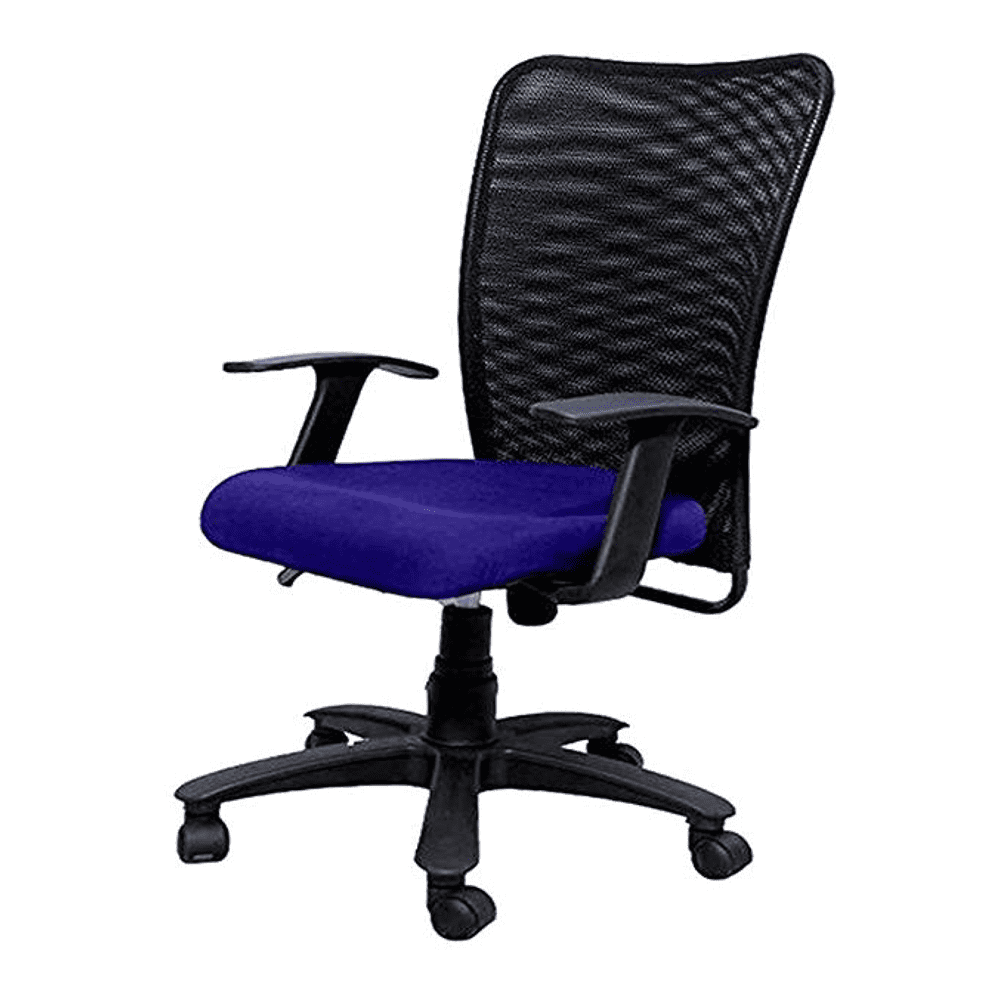 Thane Ergonomic chair
