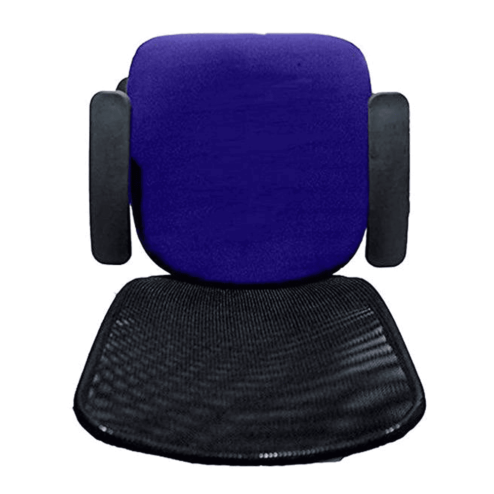 Thane Ergonomic chair