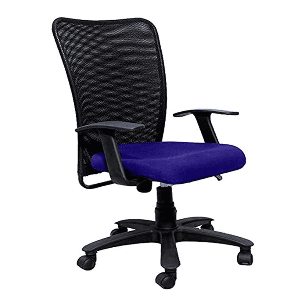 Thane Ergonomic chair