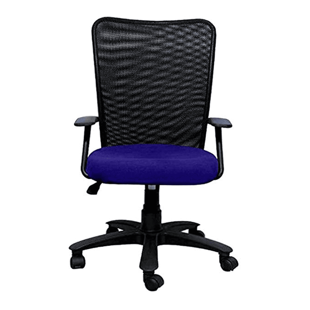 Thane Ergonomic chair