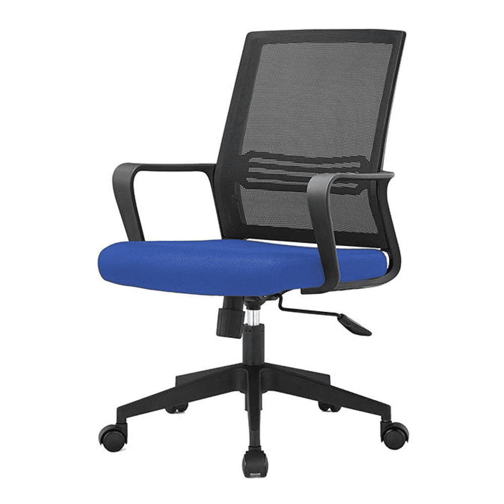 Bedelia Ergonomic chair