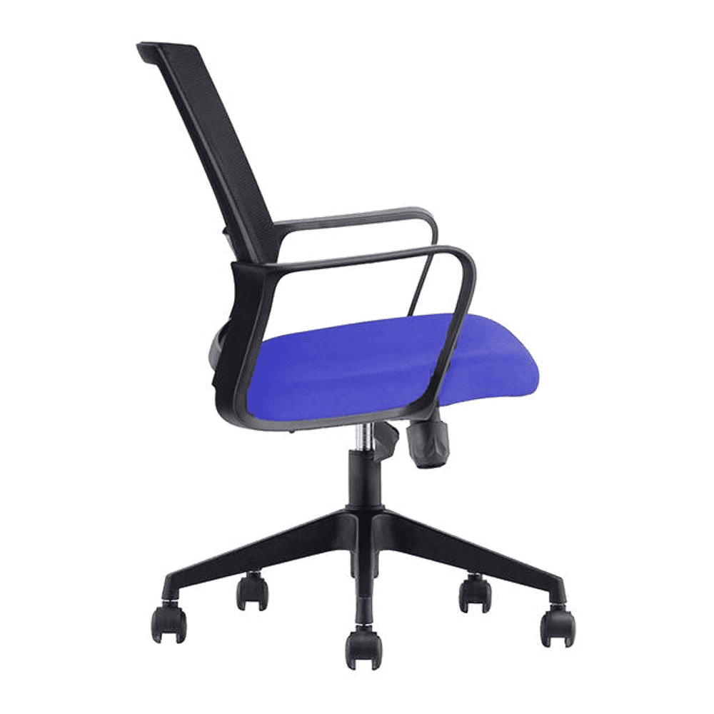 Bedelia Ergonomic chair