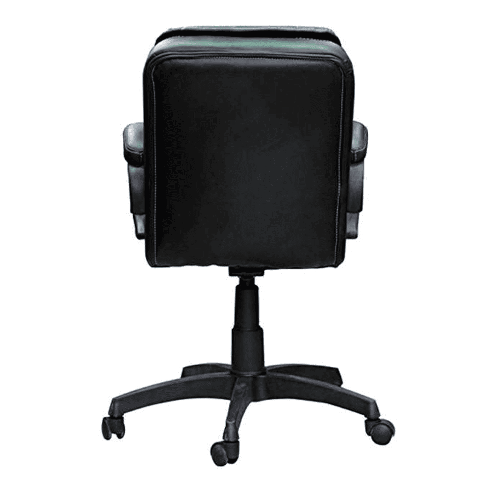 Linza Ergonomic chair