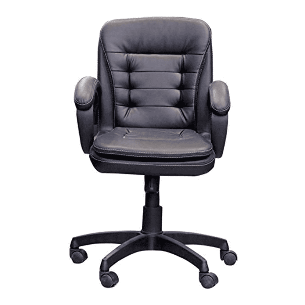 Linza Ergonomic chair