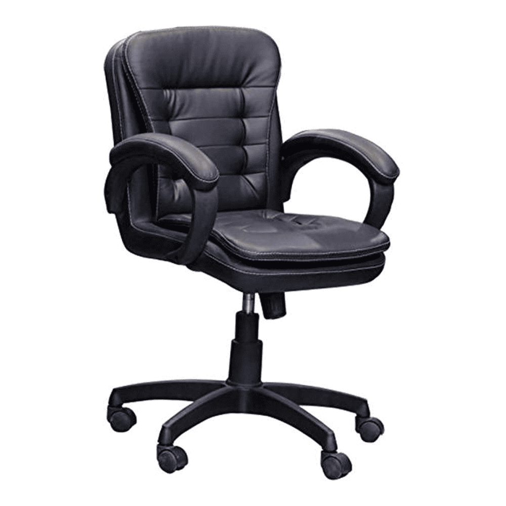 Linza Ergonomic chair