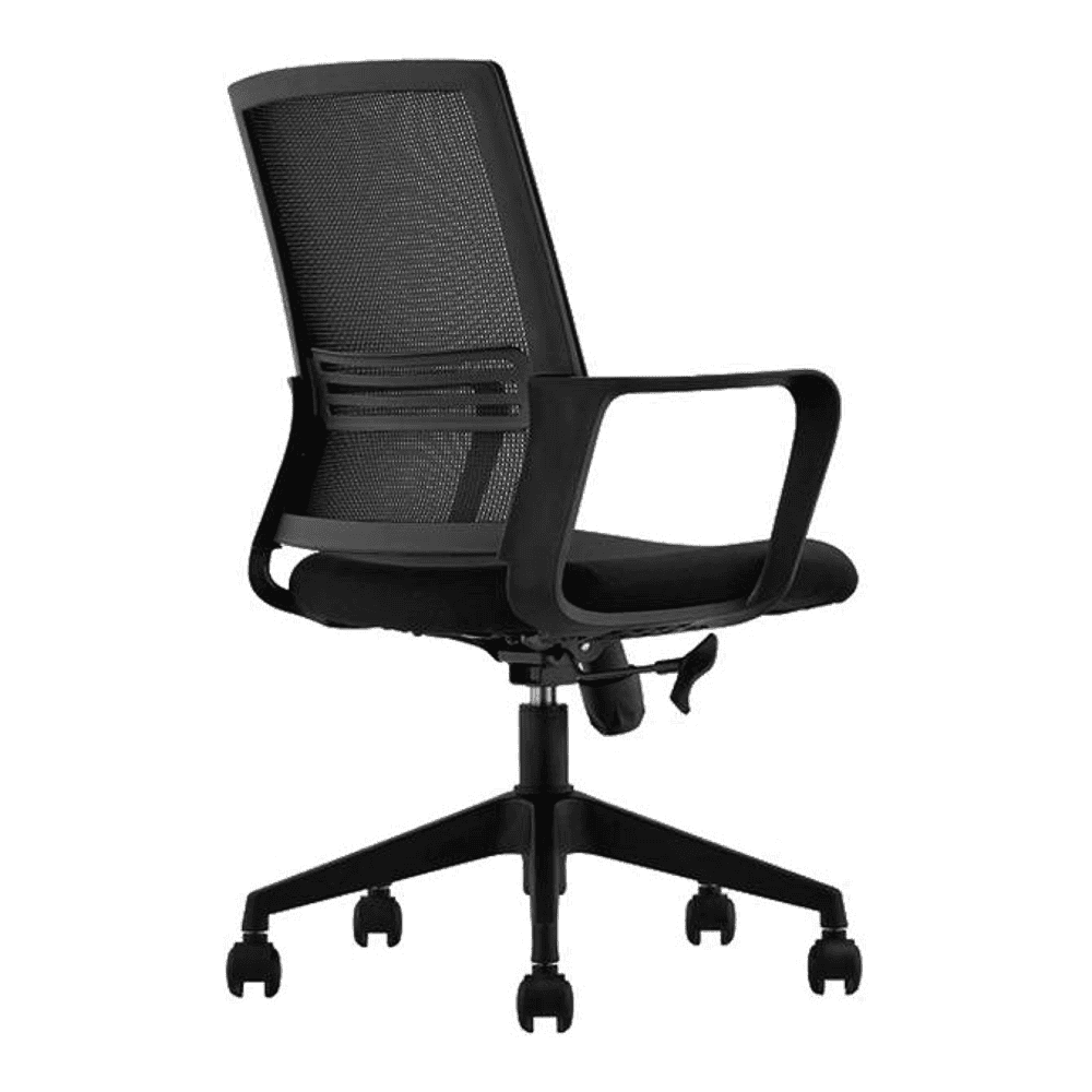 Bronwyn Ergonomic chair