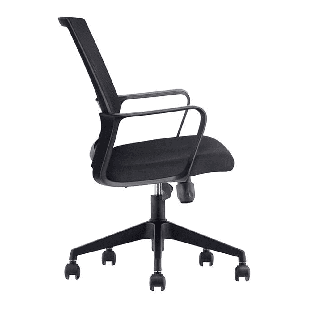 Bronwyn Ergonomic chair