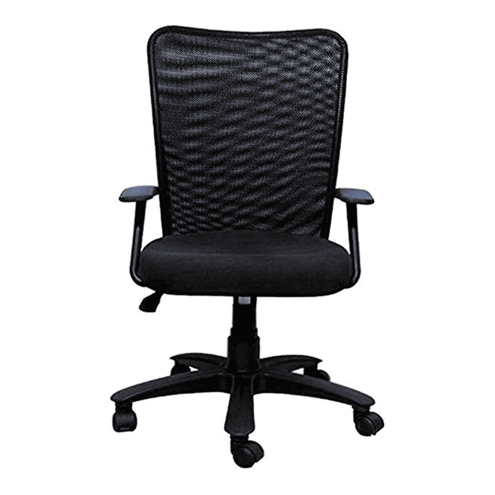 Odelia Ergonomic chair