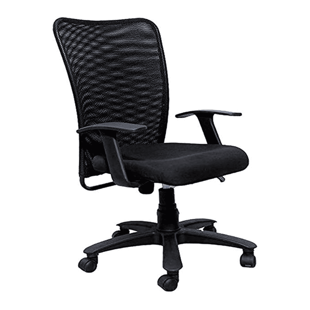 Odelia Ergonomic chair