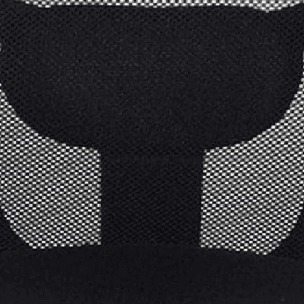 Melisenda Ergonomic chair