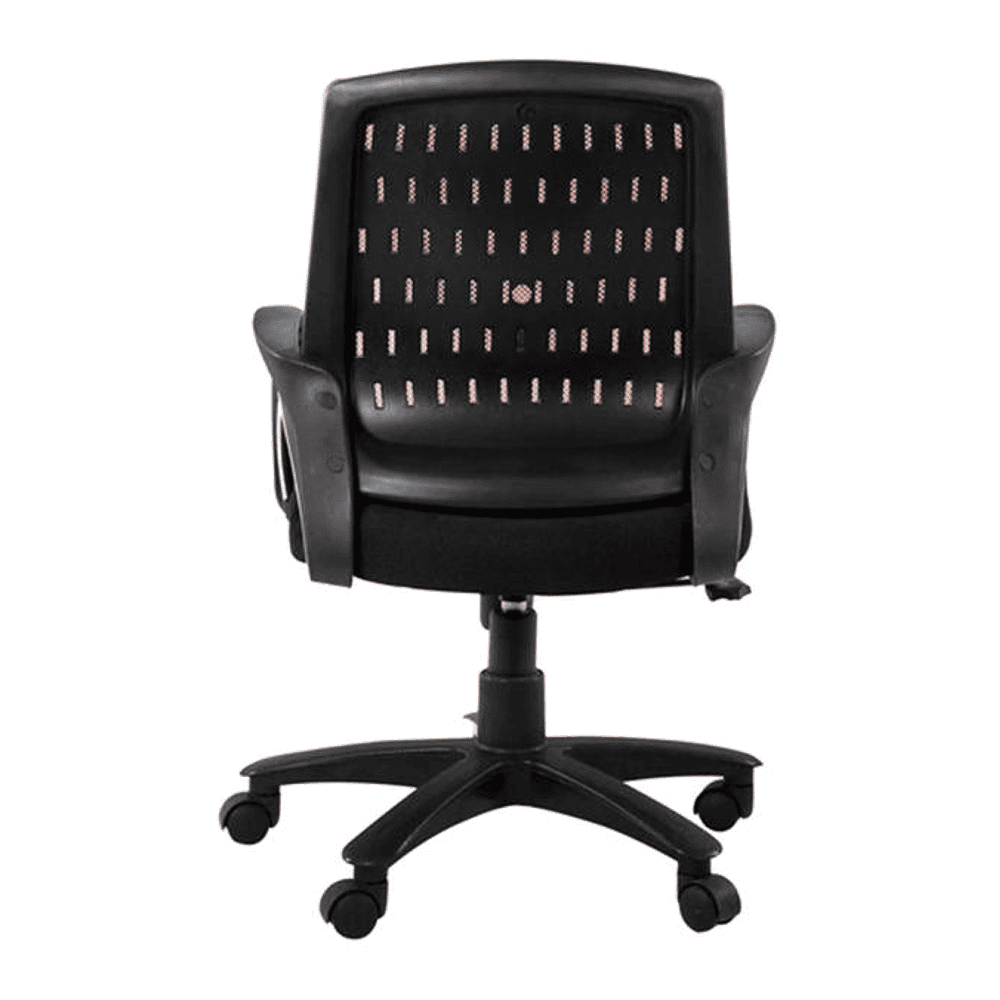 Pereg Ergonomic chair