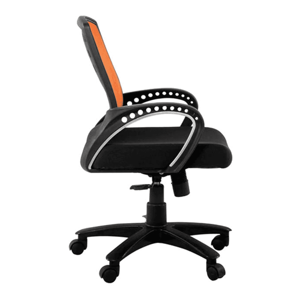 Pereg Ergonomic chair