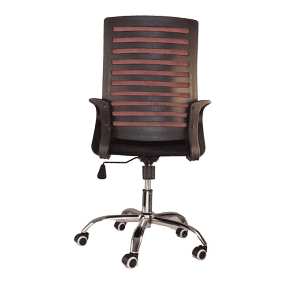 Svetlana Ergonomic chair