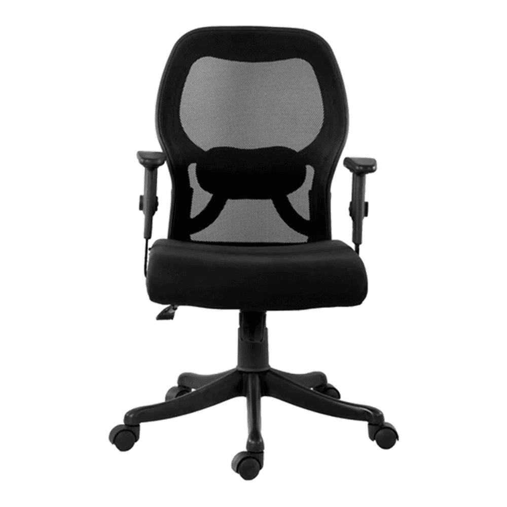 Gwaii Office Chair