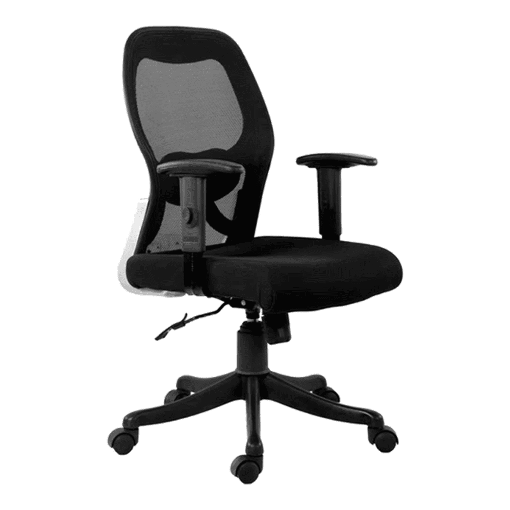 Gwaii Office Chair