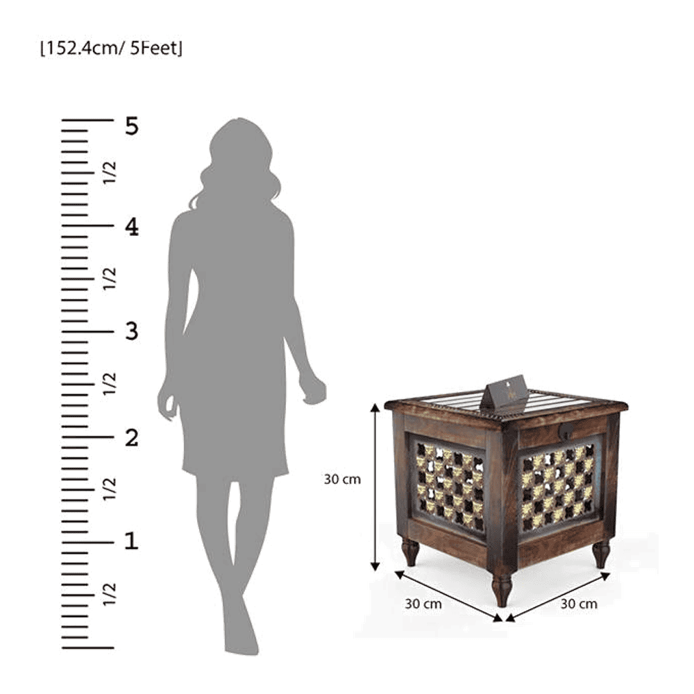 Beautiful Antique Wooden Stool with Storage for Living and Bedroom