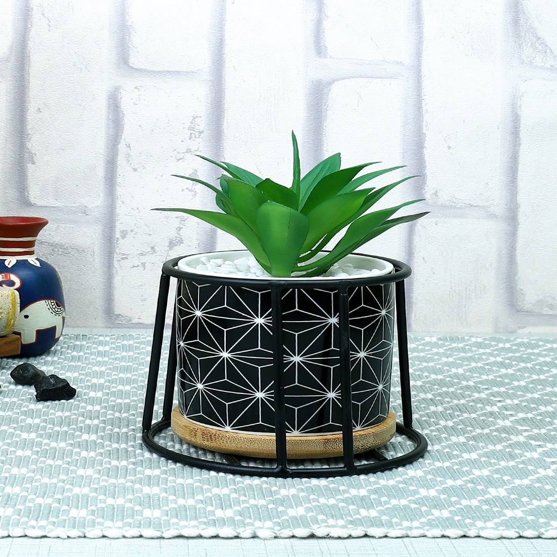 Highly Attractive Succulent Plant With A Geometric Patterned Ceramic Pot In A Stand