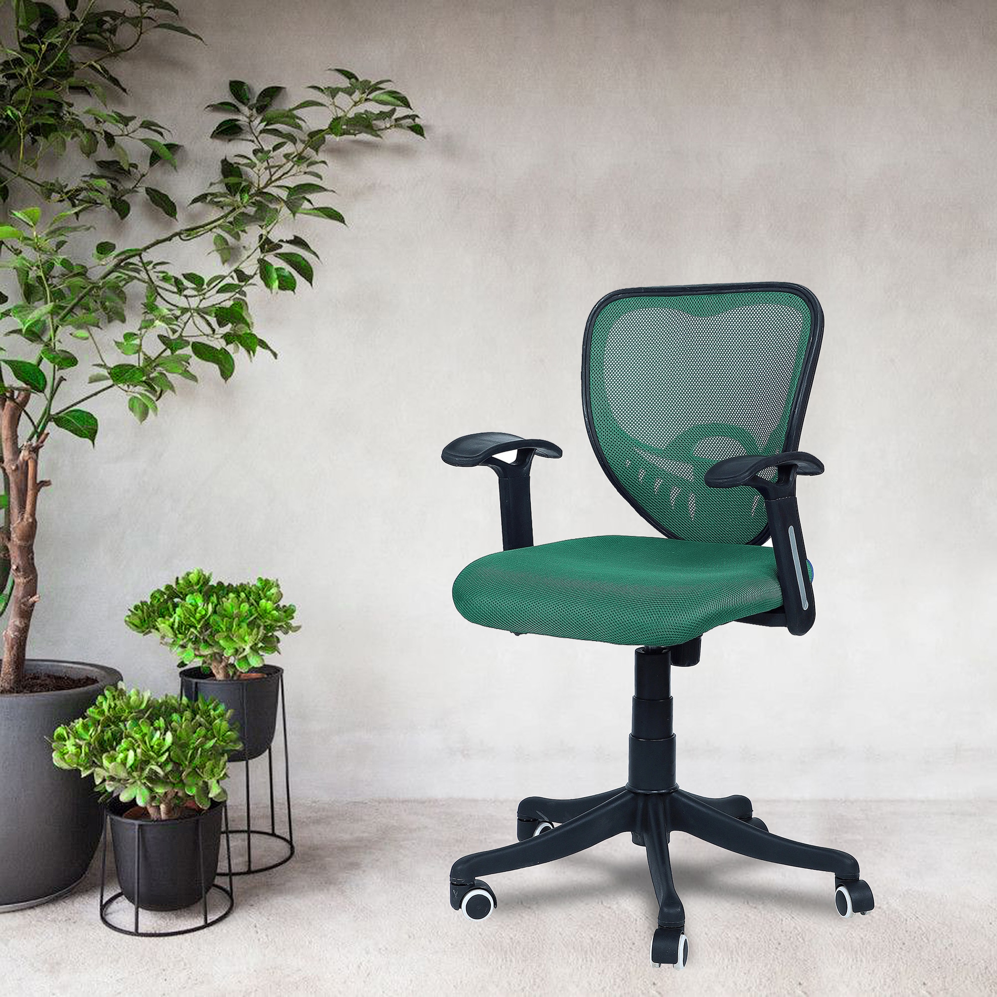 Odrione Low Back Ergonomic Chair in Dark Green Colour