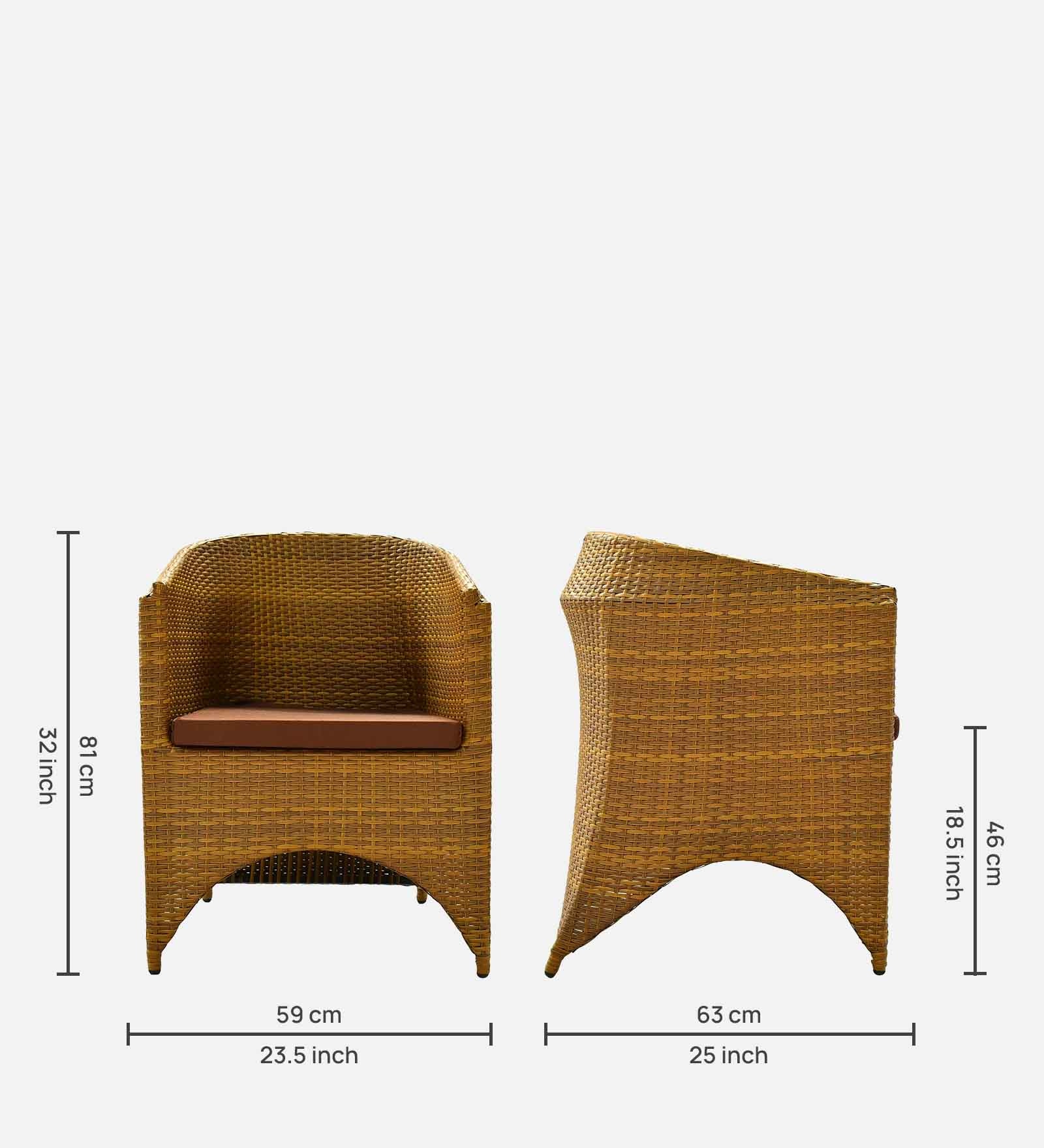 Hobart Wicker Chair In Beige Brown Tone Finish