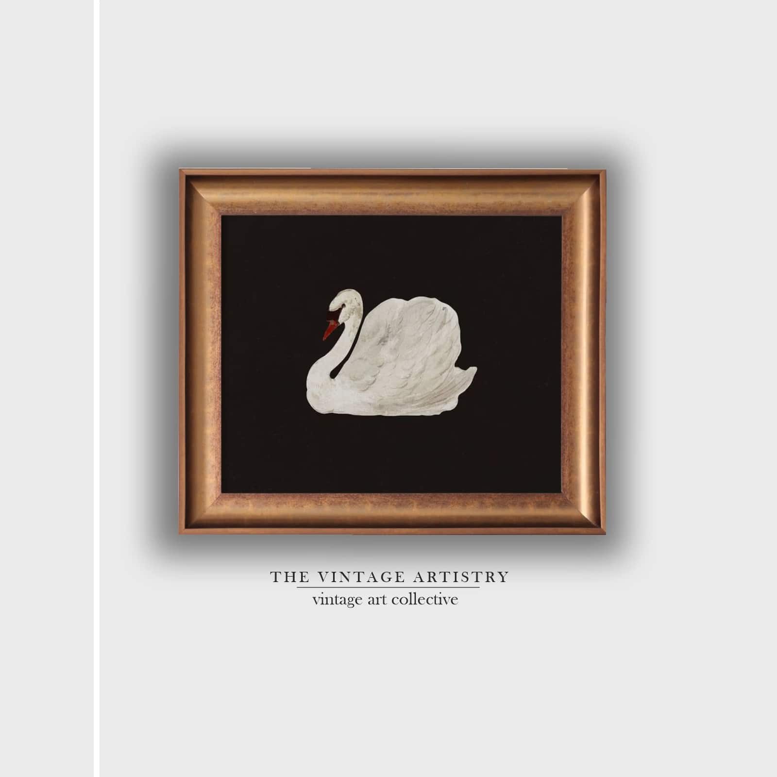 Artistry Black White Antique Swan Canvas Wall Prints Canvas Wall Prints Set of 1 Multicolor Matte