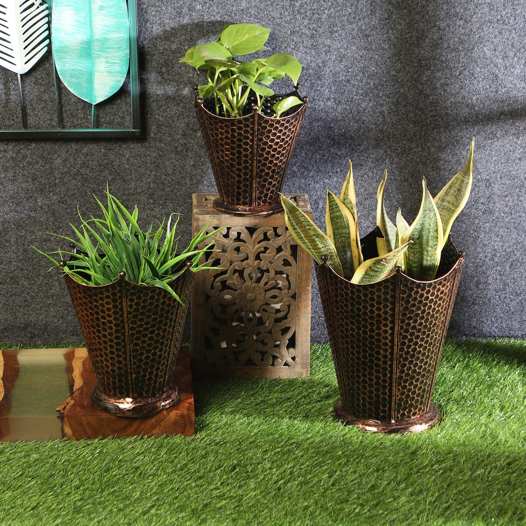 Flower Pot Planter Set Of 3 In Black Colour