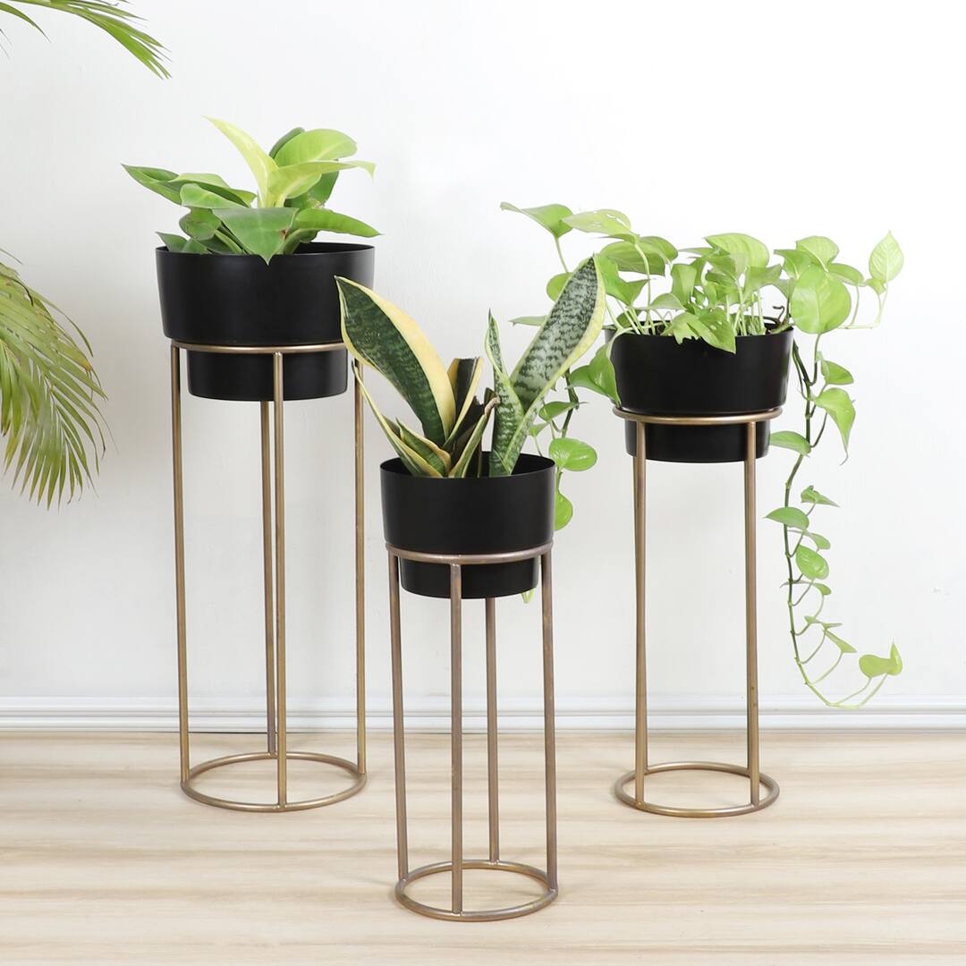 Flower Pot Planter Set Of 3 With Stand In Black And Gold Colour