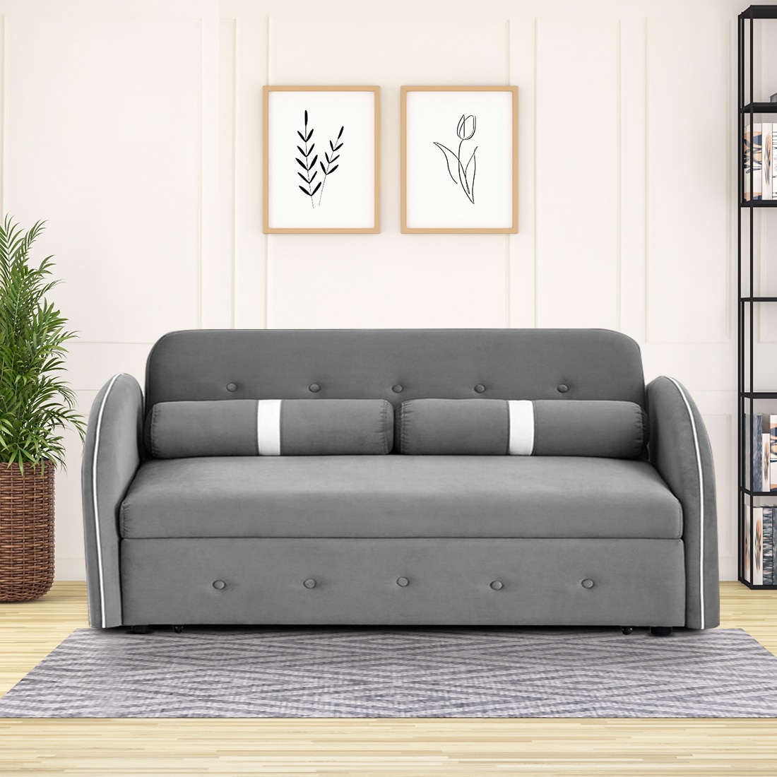 Jayen 3 Seater Pull Out Sofa cum Bed  in Grey Colour - Home Lifestylez