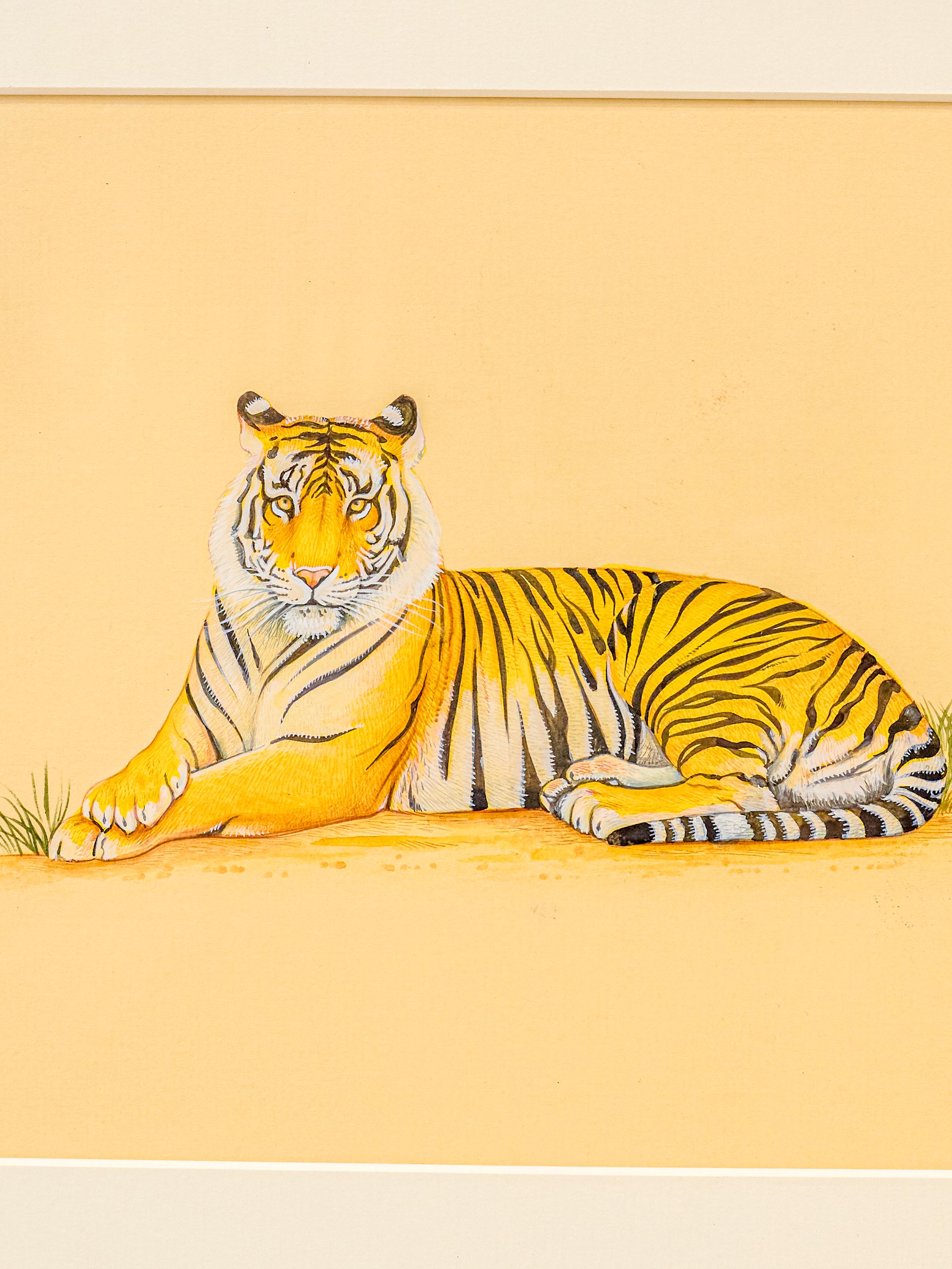 Tiger Miniature Painting