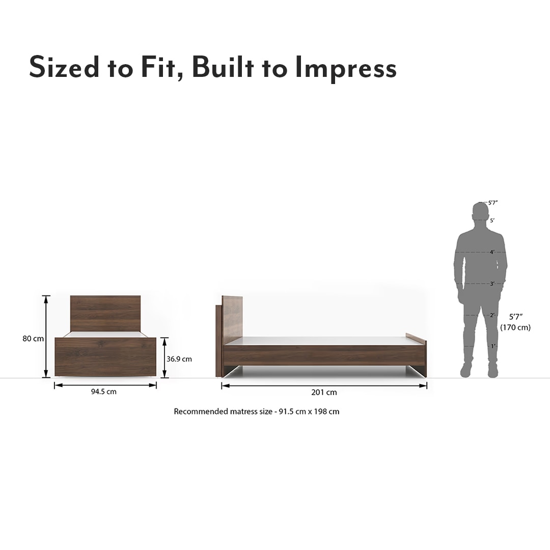 Macy Engineered Wood Single Size Non Storage Bed In Classic Walnut Finish