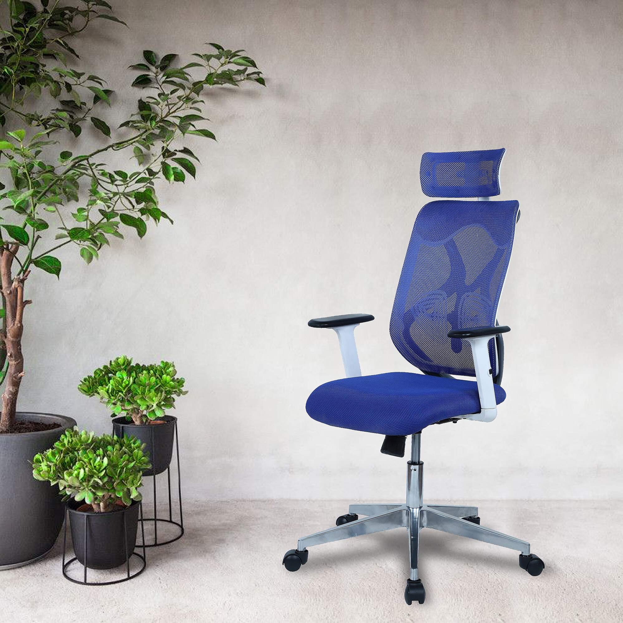 Wiweangs High Back Ergonomic Chair in Blue Colour
