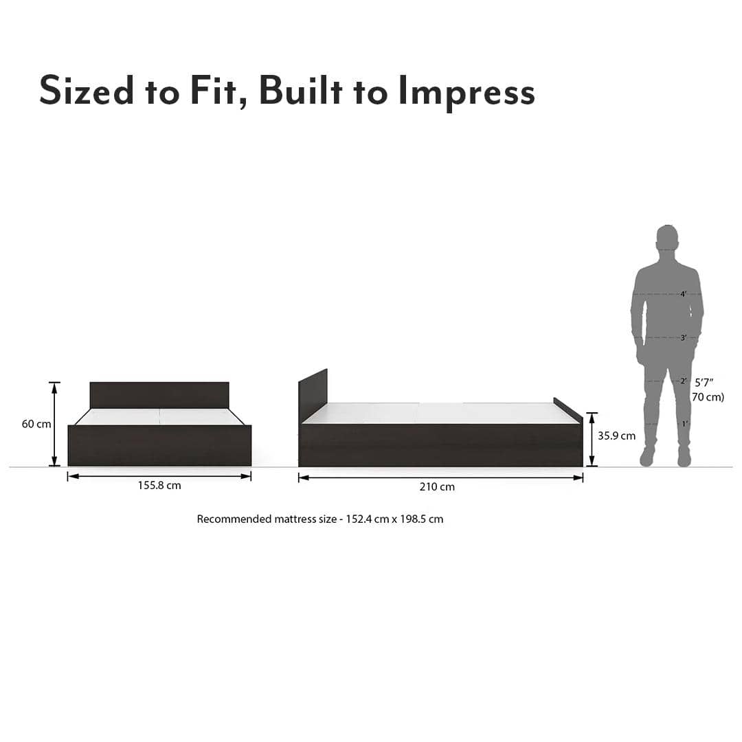 Sadie Queen Size Box Storage Bed In Dark Wenge Finish