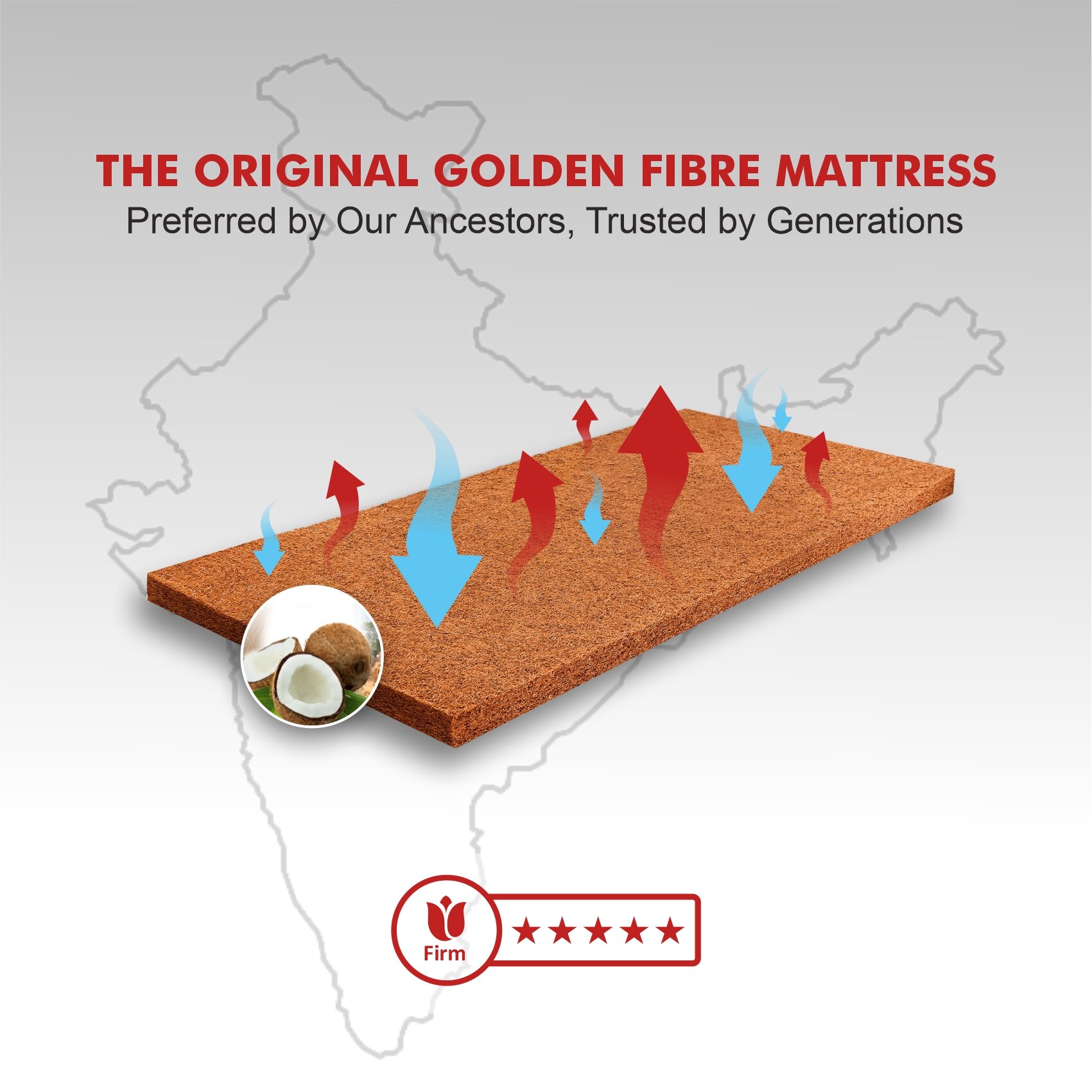 Resteria Bio Foam Coir Mattress