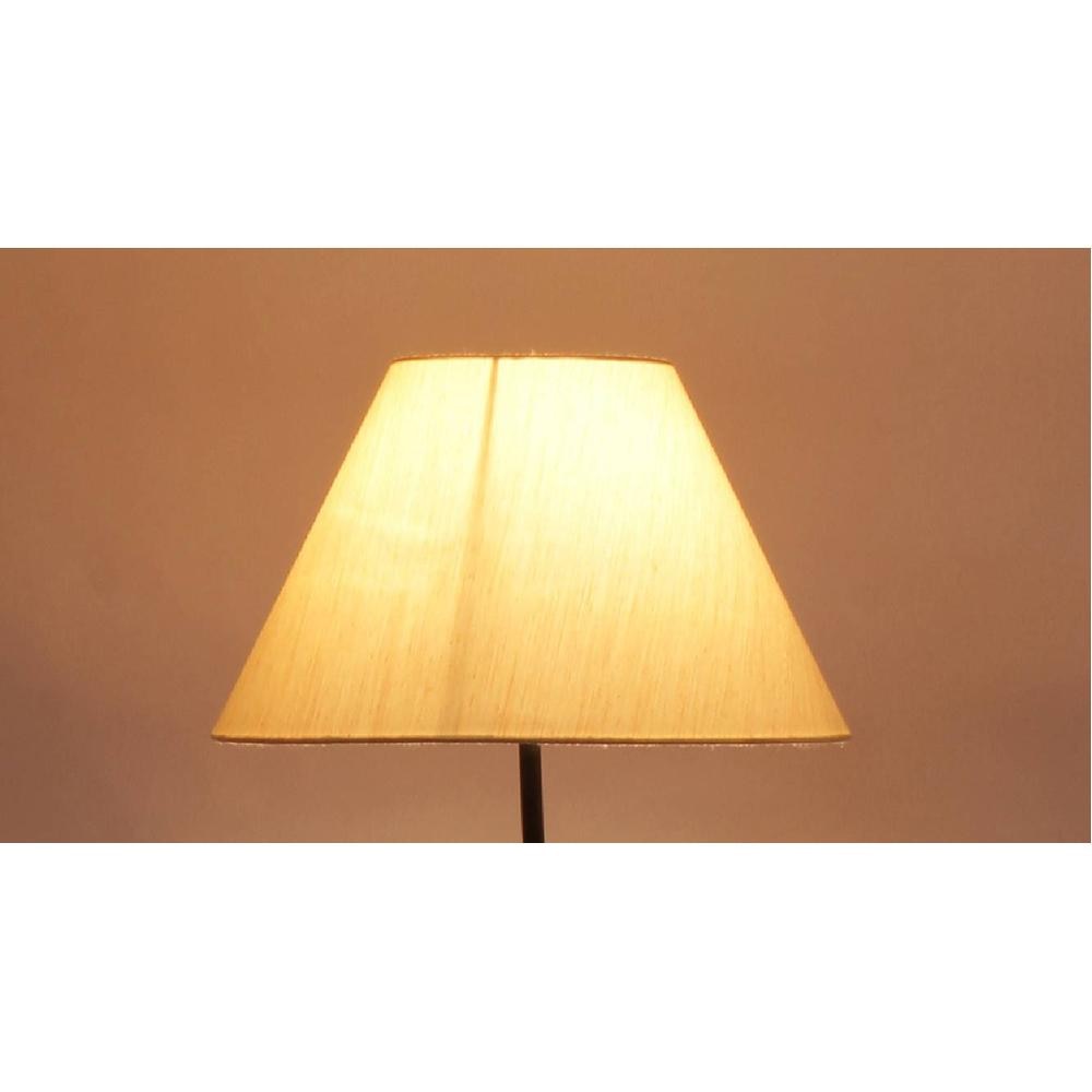 Zenos Off White Fabric Floor Lamp with Black Iron Base