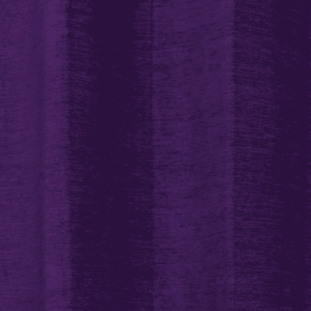 Livisa Door Curtain - Set Of 2