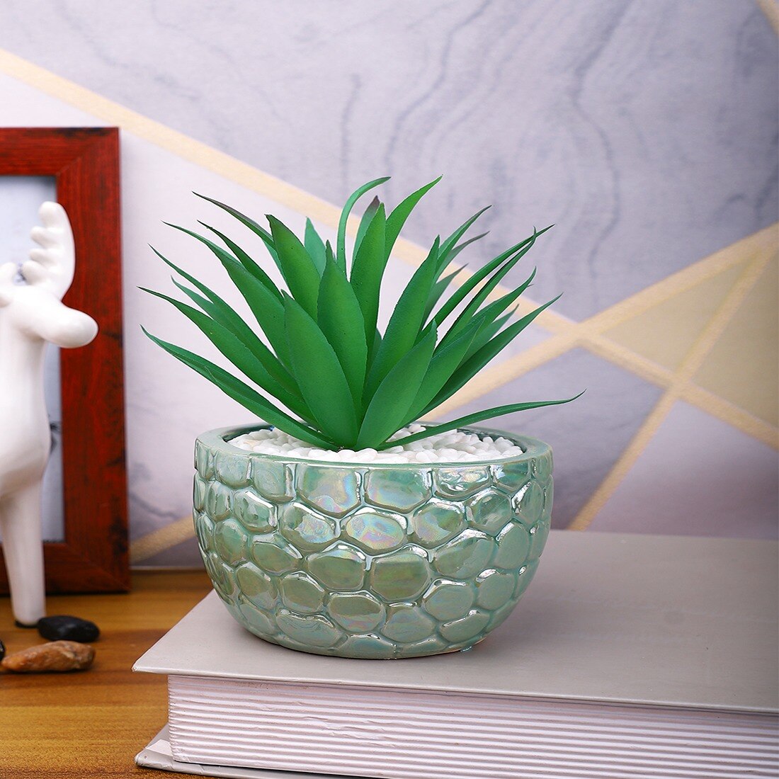 Attractive Aloe Vera Plant With Green Pebble Patterned Design Ceramic Pot
