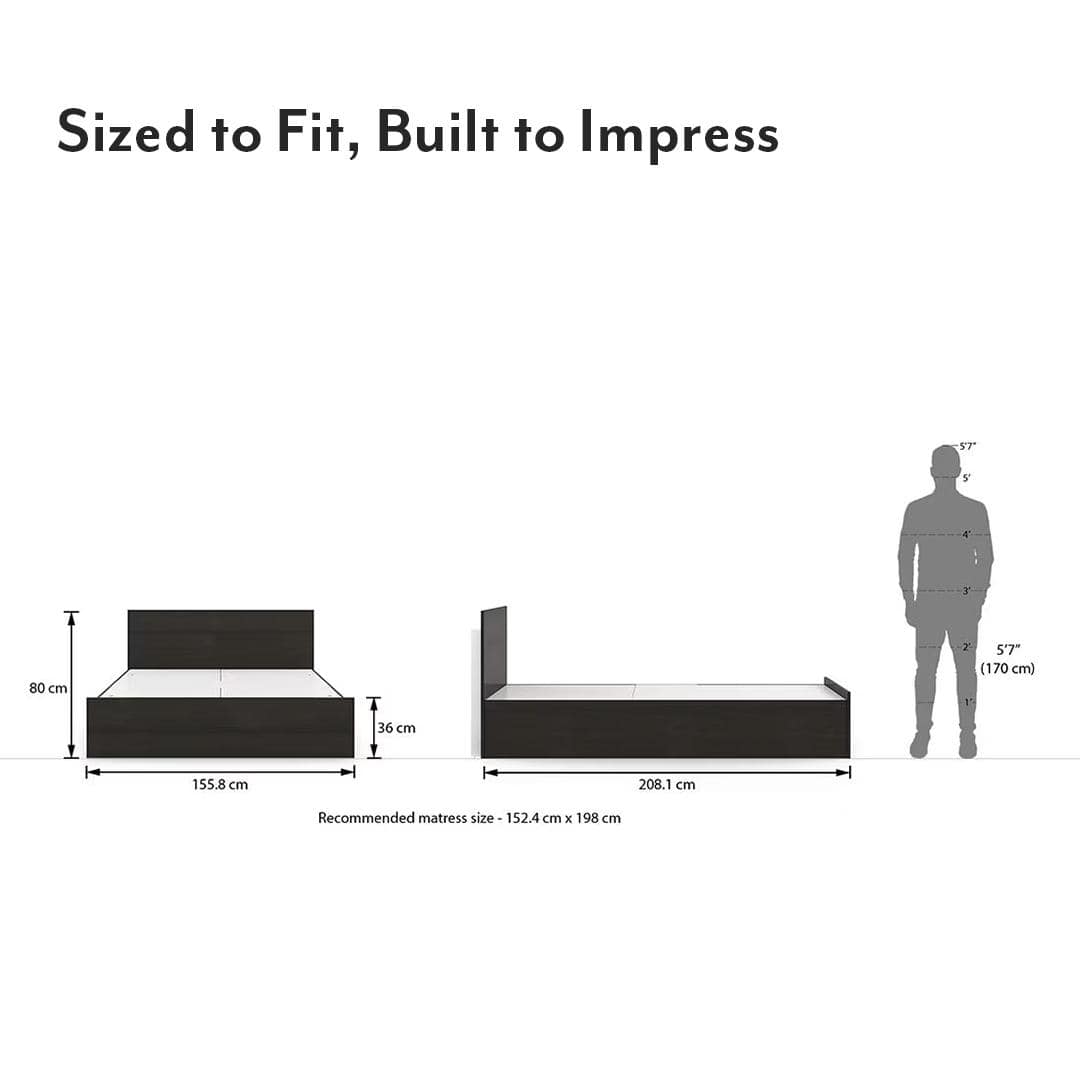 Zoey Engineered Wood Queen Size Box Storage Bed In Dark Wenge Finish