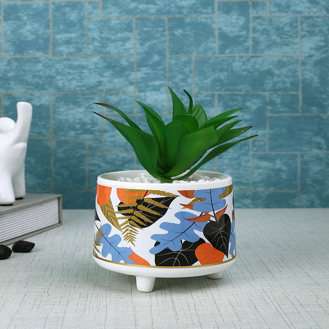 Attractive Aloe Vera Plant With Leafy Print Ceramic Pot