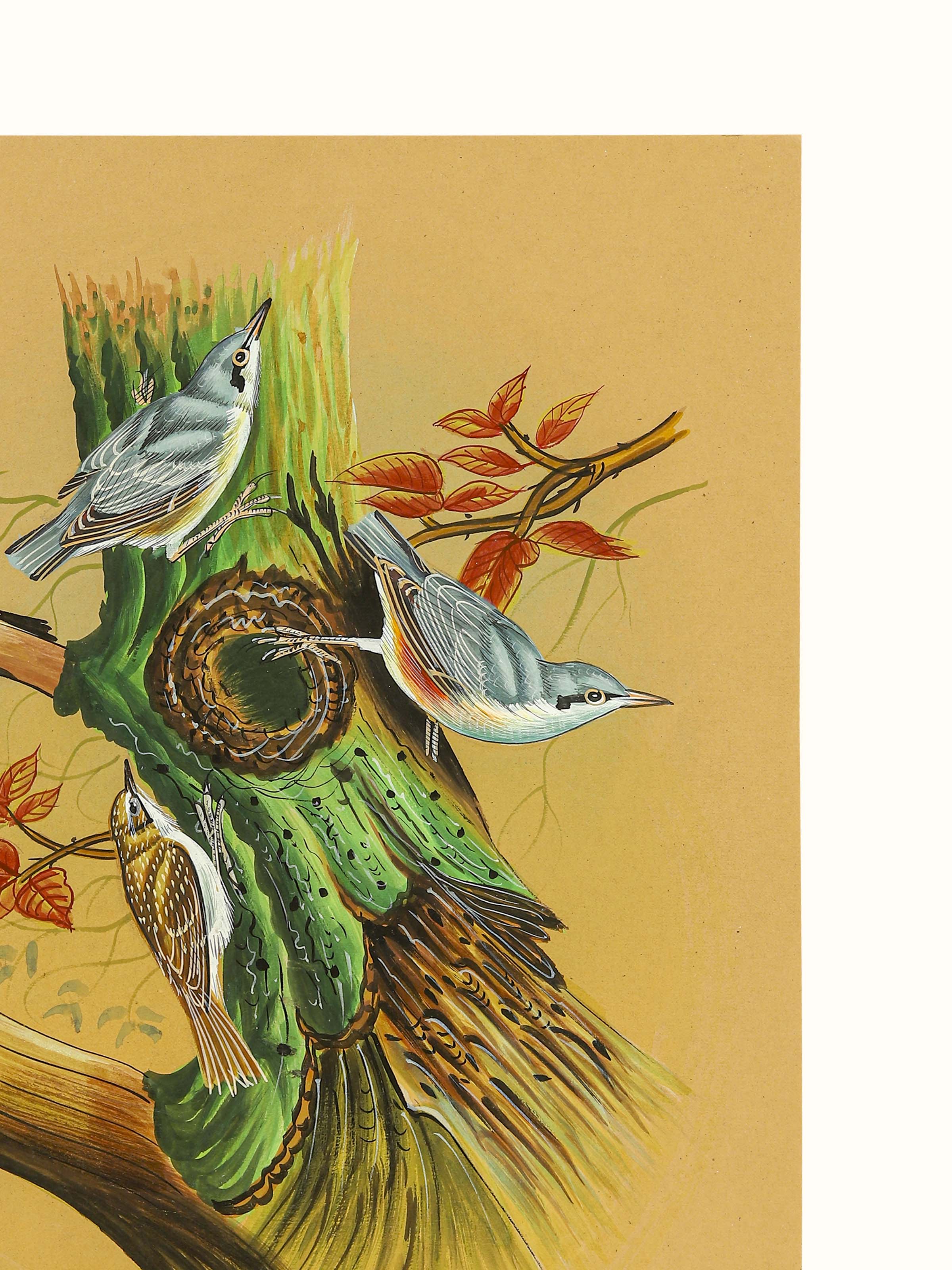Birds Miniature PaintingV