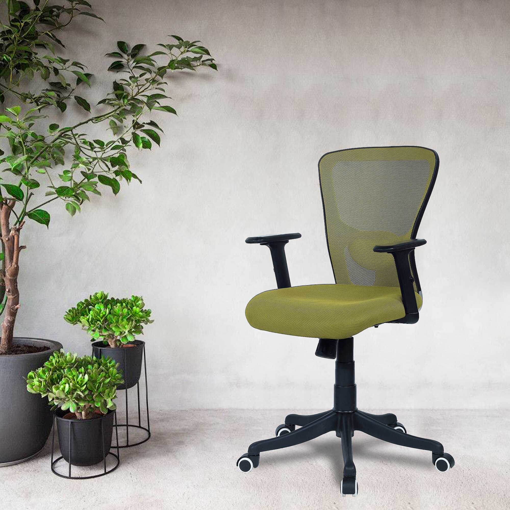 Peacifice Mid Back Ergonomic Chair in Pearl Green Colour