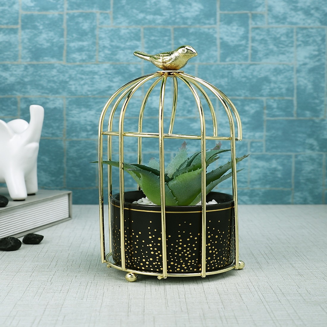 Aloe Vera Plant In Ceramic Pot With Attractive Bird Cage - Tayhaa