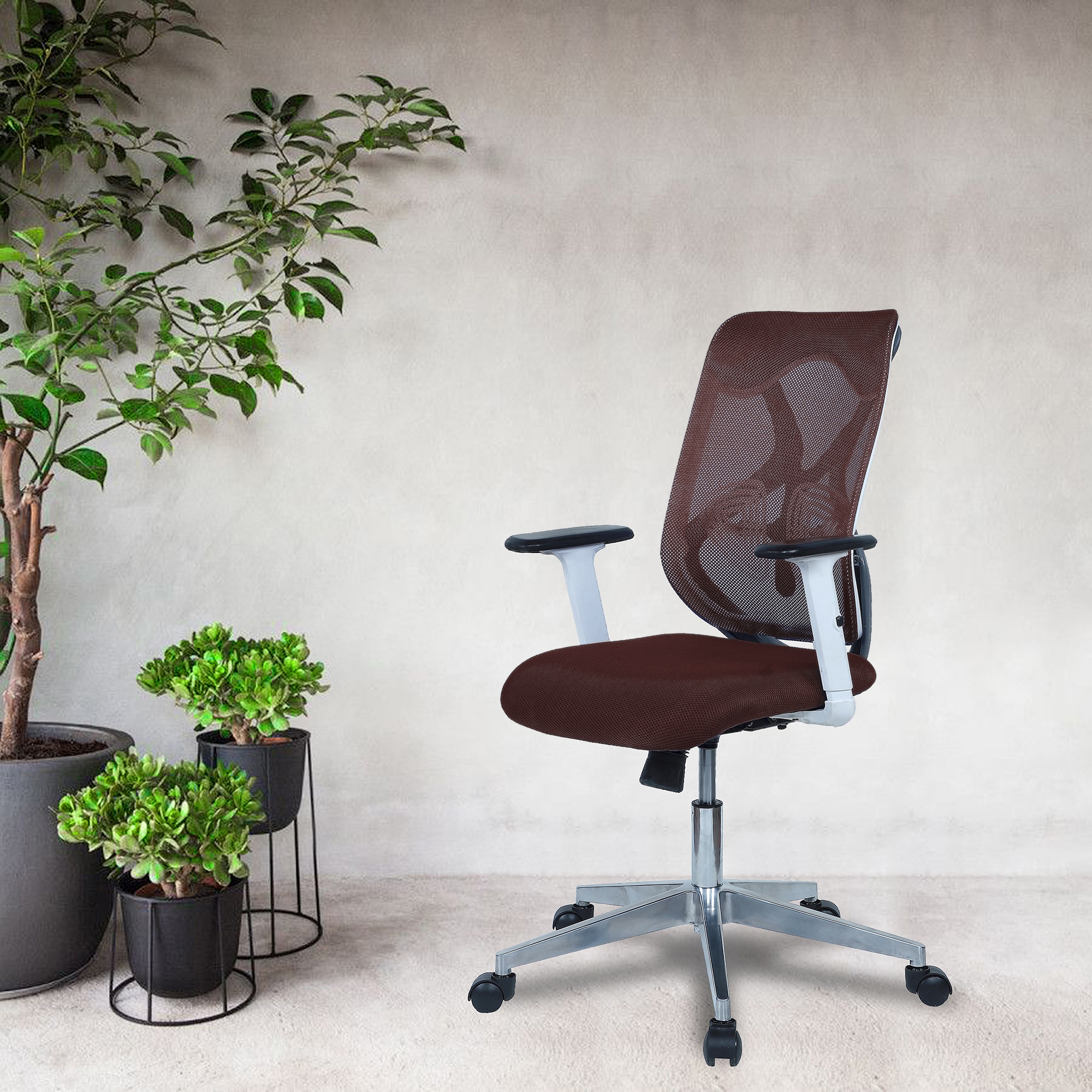 Wiwngas Mid Back Ergonomic Chair in Brown Colour