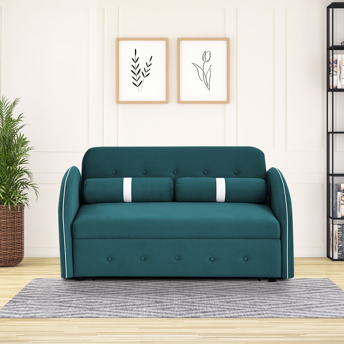 Jayen  Pull Out Sofa cum Bed  in T Blue Colour - Home Lifestylez