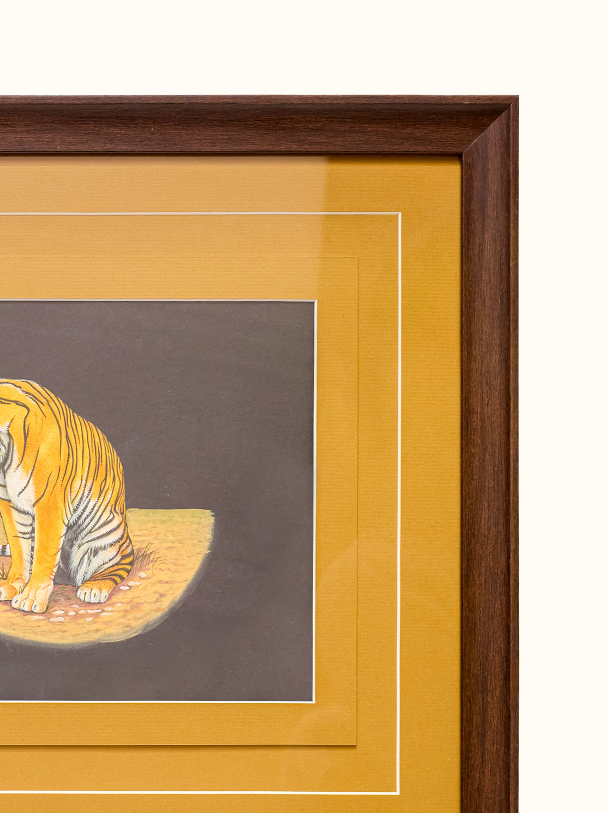 Tiger Miniature Painting