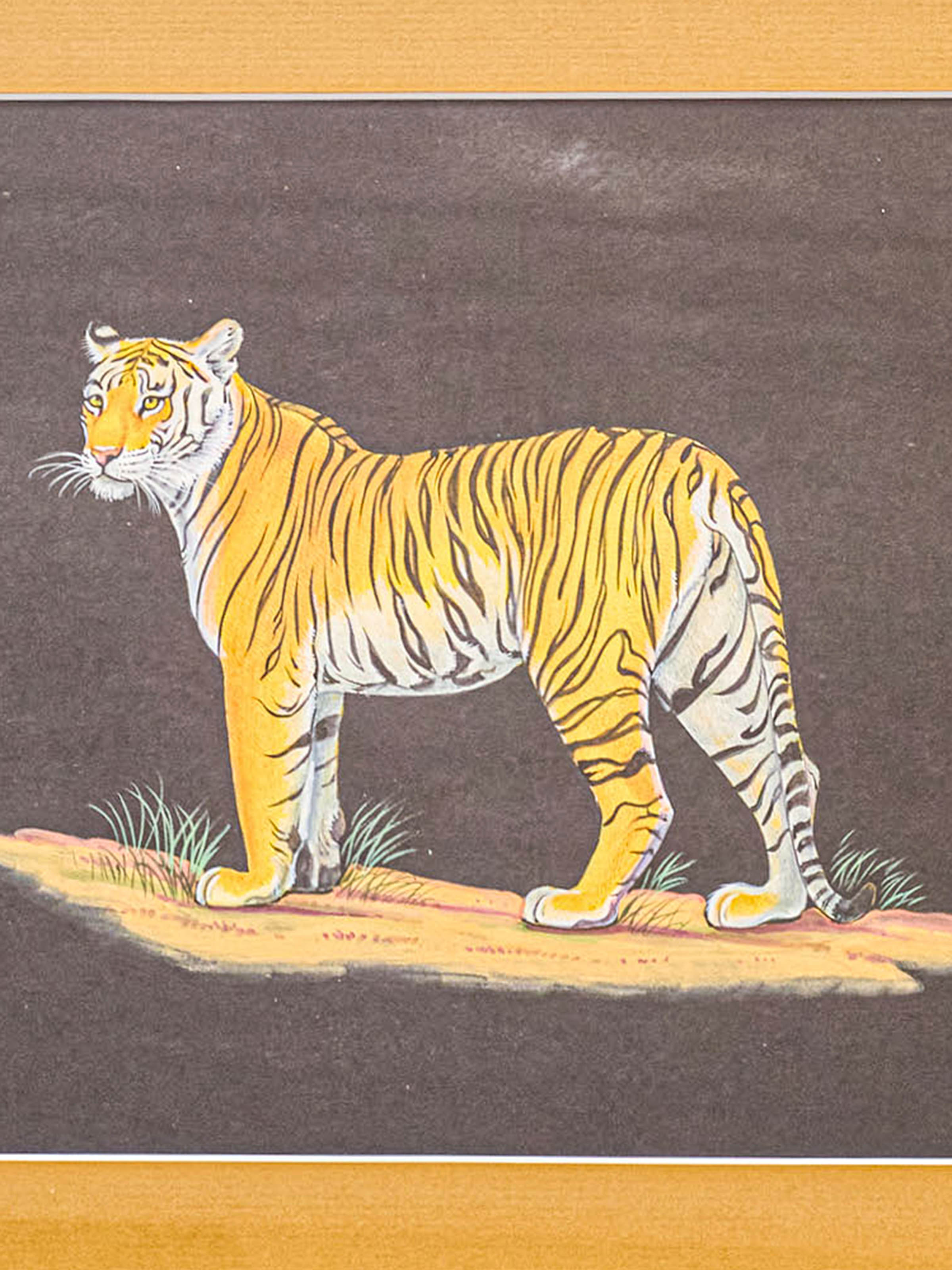 Tiger Miniature Painting